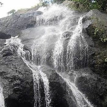 KEINO TWIN ISLE TOURS | Tobago Tourist Guide & 24hr Taxi Service – Keino Twin Isle Tours Argyle Waterfall Tobago island tour experience