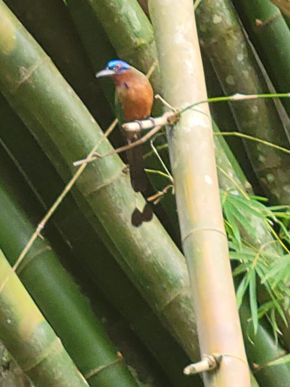 KEINO TWIN ISLE TOURS | Gallery