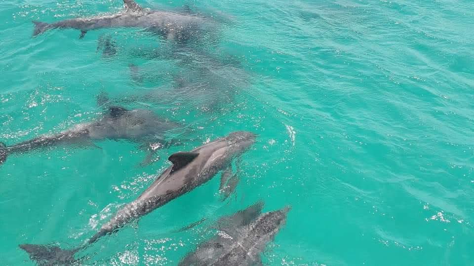 Best Coastal Tour in Tobago with Keino Twin Isle Tours