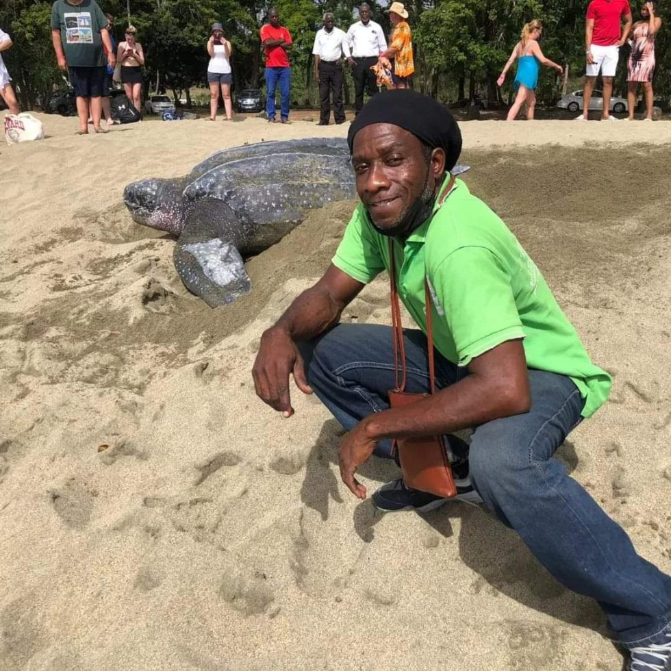 keino with leatherback