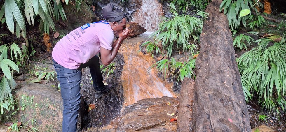 KEINO TWIN ISLE TOURS | The Rainforest Tour Tobago Tour Tobago Tourist Guide Tobago Tour Operator & Tobago Taxi Service