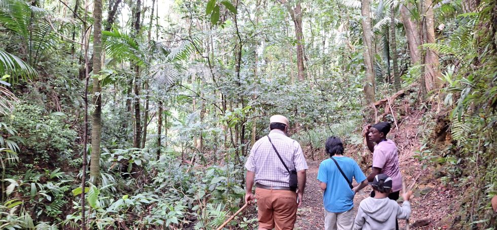 KEINO TWIN ISLE TOURS | The Rainforest Tour Tobago Tour Tobago Tourist Guide Tobago Tour Operator & Tobago Taxi Service