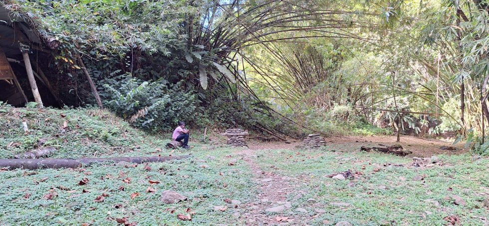 KEINO TWIN ISLE TOURS | The Rainforest Tour Tobago Tour Tobago Tourist Guide Tobago Tour Operator & Tobago Taxi Service